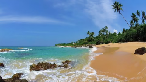 Туры в Шри-Ланку от Мига