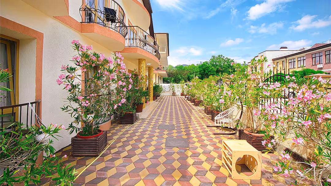 Цветы у комплекса Морской рай