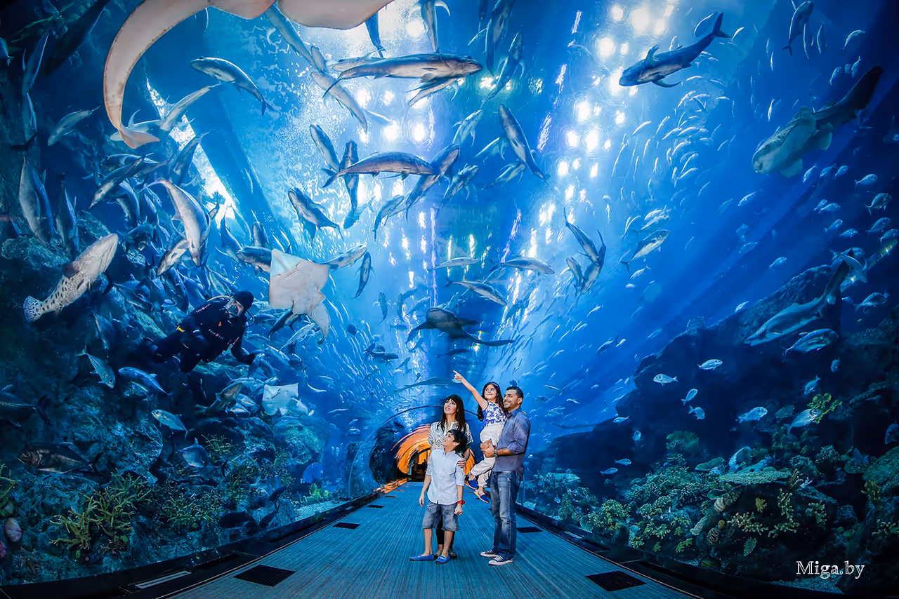 Океанариум в Дубае